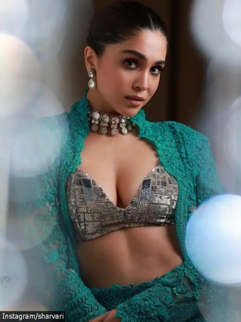 sharvari cleavage deep neckline outfit indian actress sharvari cleavage deep neckline outfit indian actress