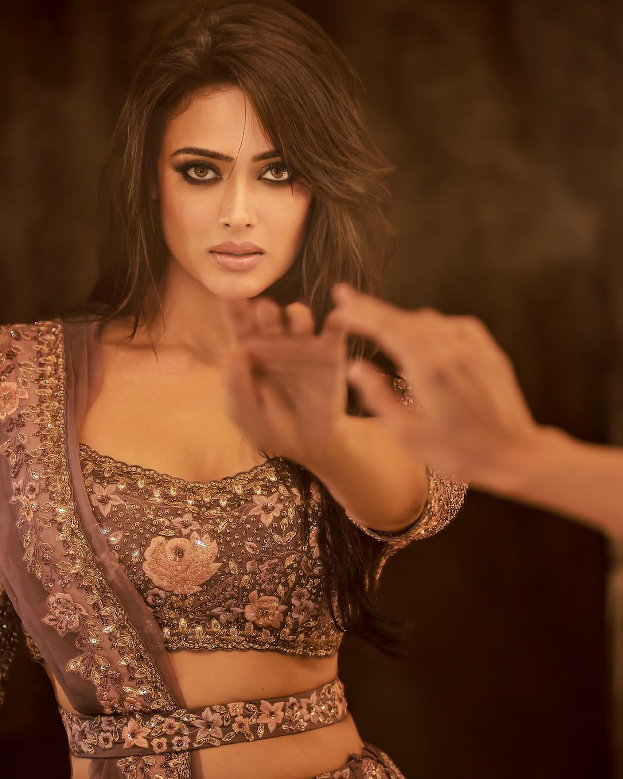 Shweta Tiwari hot saree photoshoot