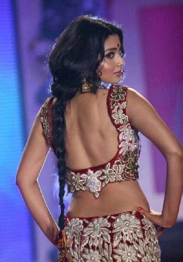 shriya-saran-sexy-back-saree-backless-blouse-indian-actress-14 shriya-saran-sexy-back-saree-backless-blouse-indian-actress-14