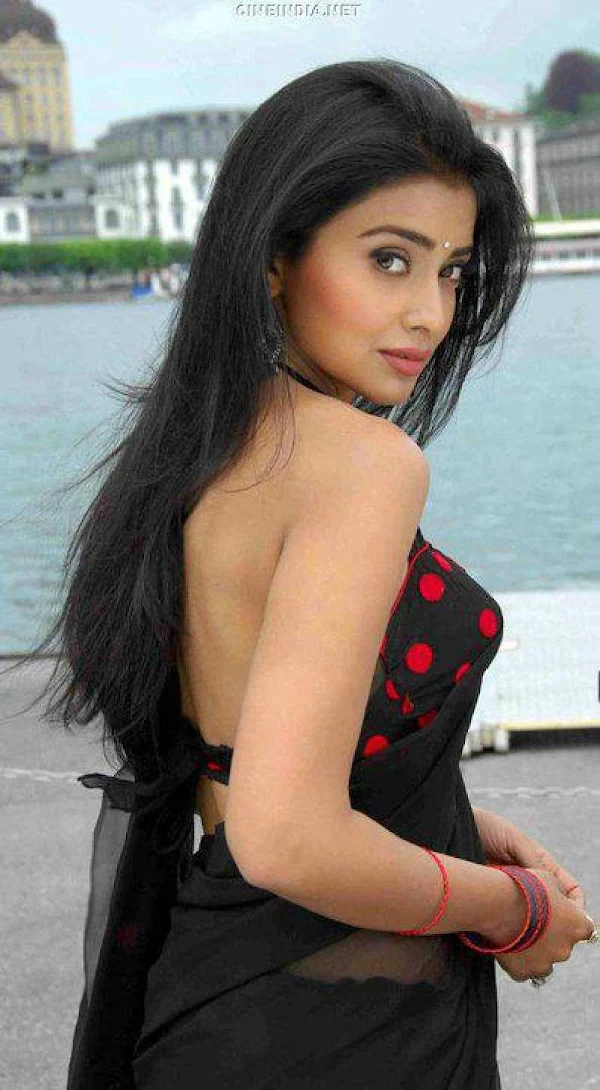 shriya-saran-sexy-back-saree-backless-blouse-indian-actress-16 shriya-saran-sexy-back-saree-backless-blouse-indian-actress-16