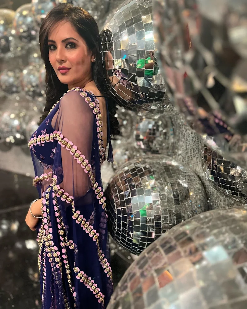 puja banerjee backless sheer blue saree puja banerjee backless sheer blue saree