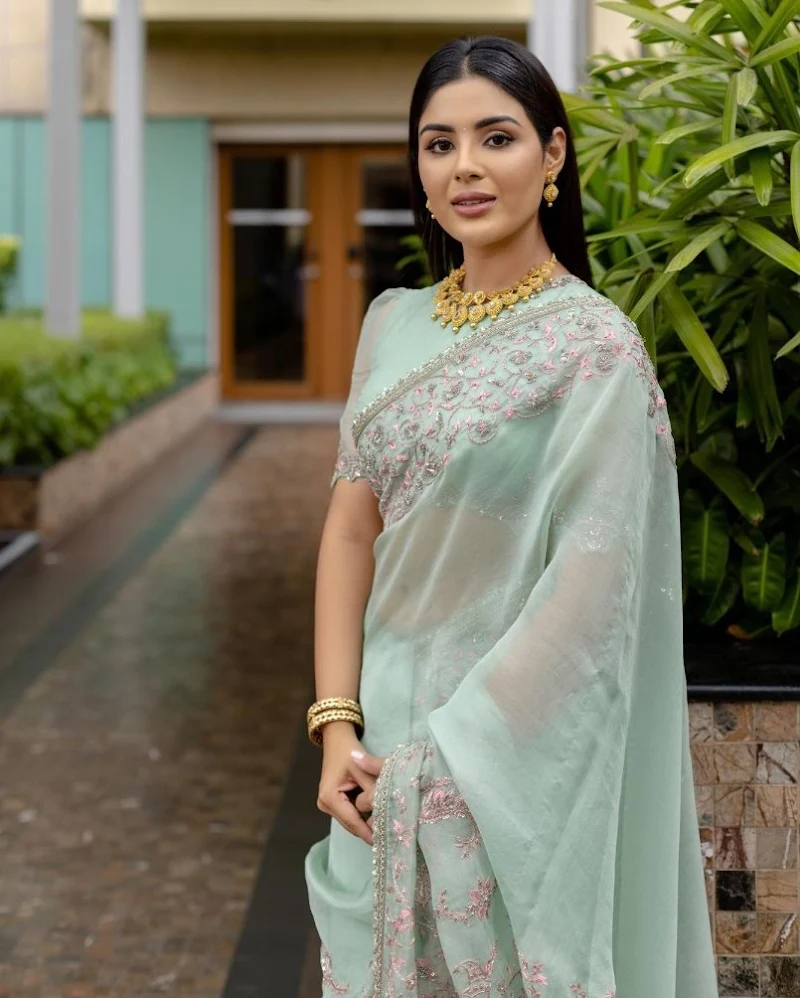 Samyuktha Menon saree hot actress Samyuktha Menon saree hot actress