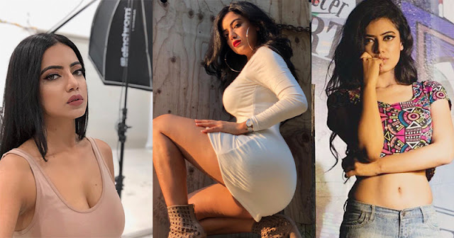 Aditi Singh Karnawat hot indian model