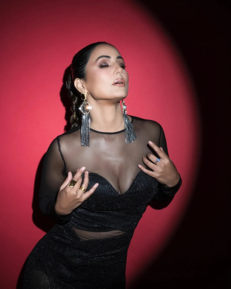 Hina Khan sheer black outfit award show Hina Khan cleavage sheer black outfit award show