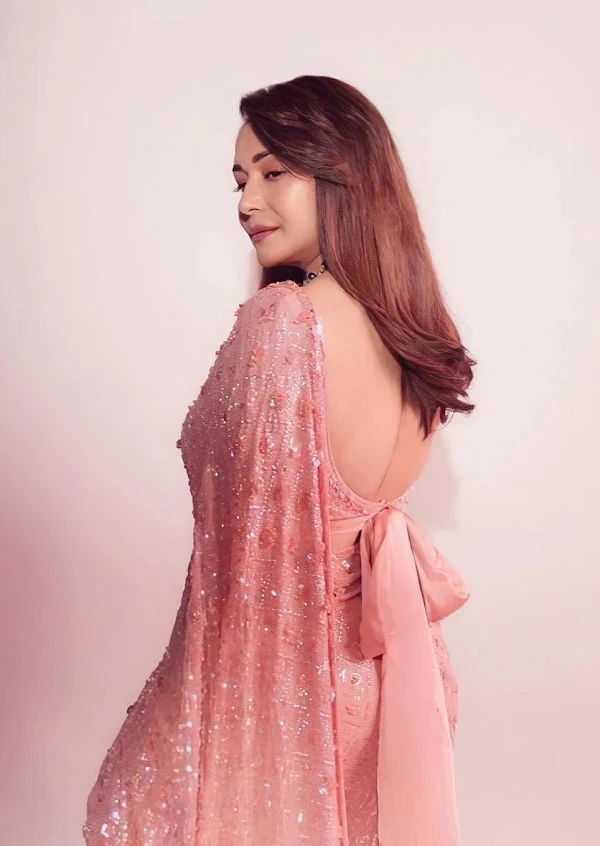 madhuri dixit backless saree hot actress madhuri dixit backless saree hot actress