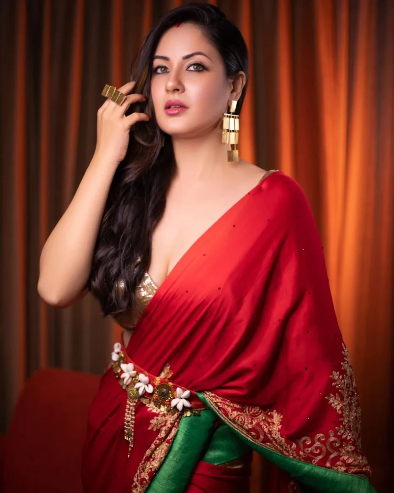 Puja Banerjee cleavage red saree Puja Banerjee cleavage red saree