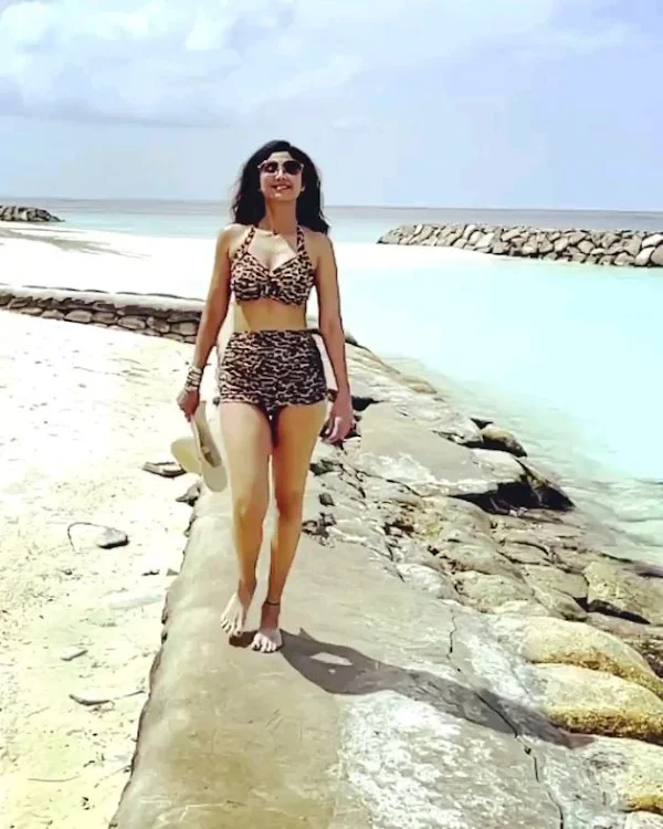 shilpa shetty bikini swimsuit bollywood actress shilpa shetty bikini swimsuit bollywood actress