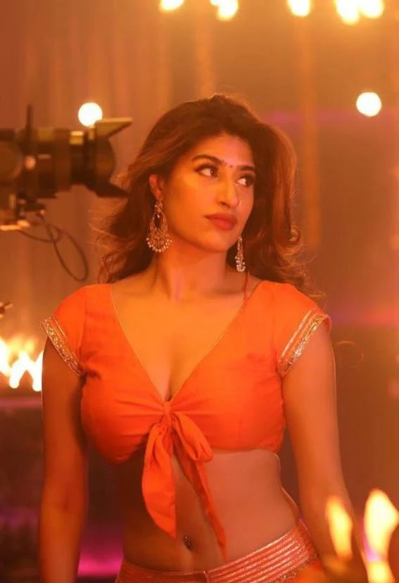 Shreya Mehta navel saree hot actress