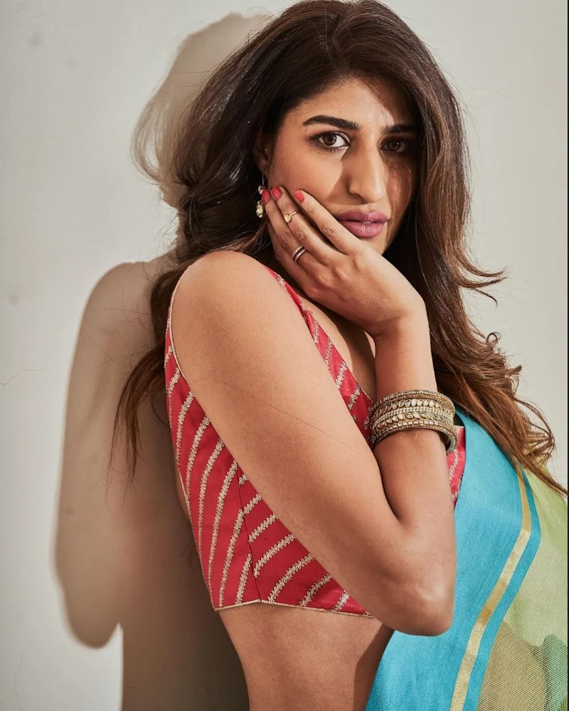 Shreya Mehta saree hot actress