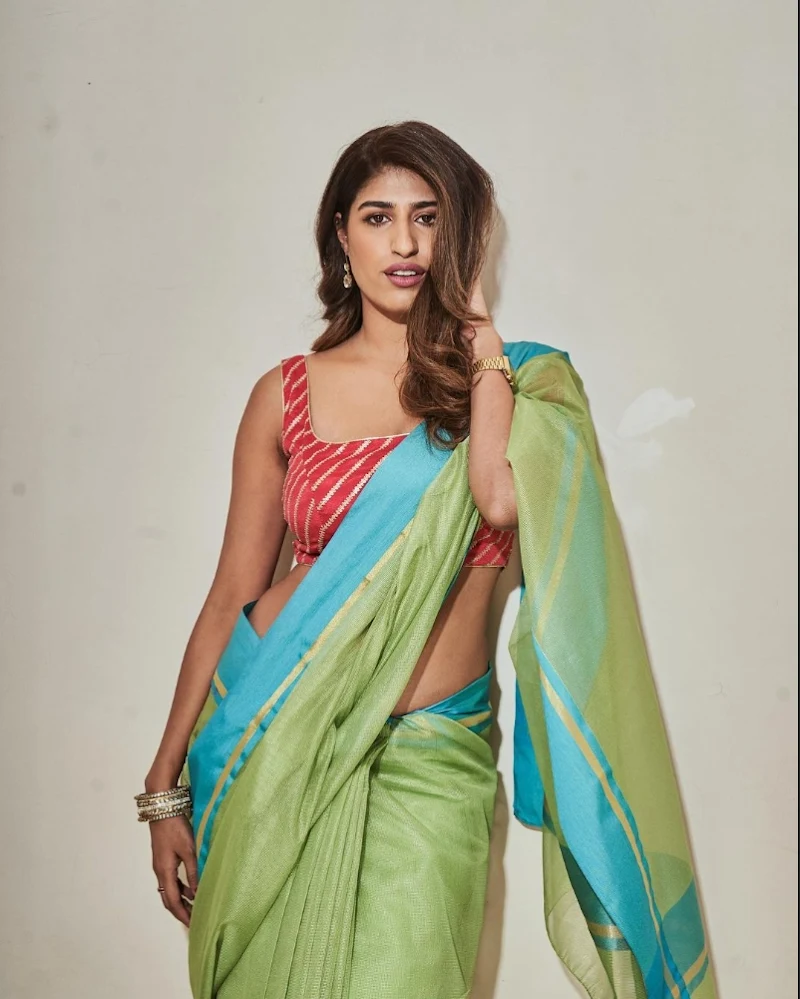 Shreya Mehta saree hot actress