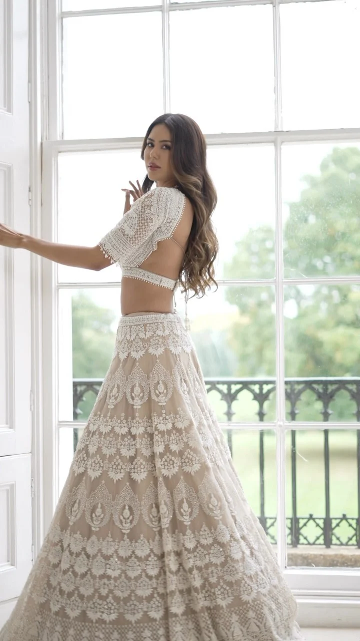 Sonam Bajwa backless hot punjabi actress Sonam Bajwa backless hot punjabi actress