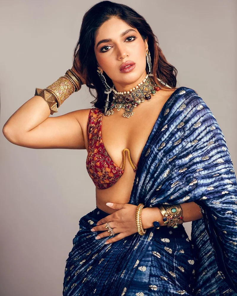 bhumi pednekar cleavage saree tiny blouse