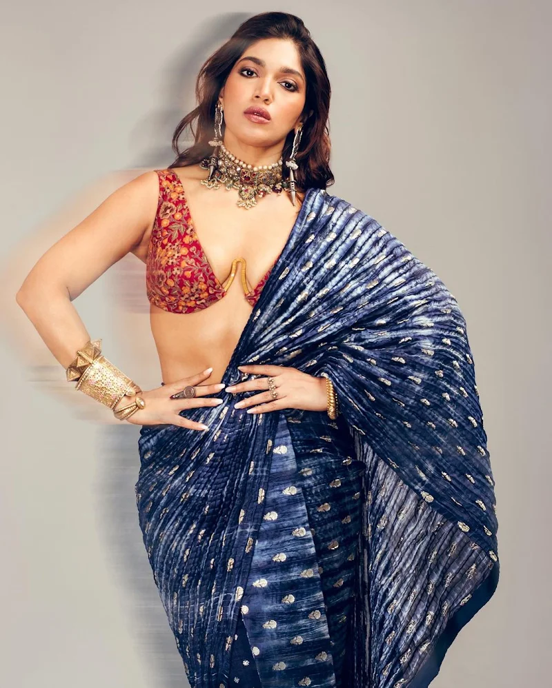 bhumi pednekar cleavage saree tiny blouse