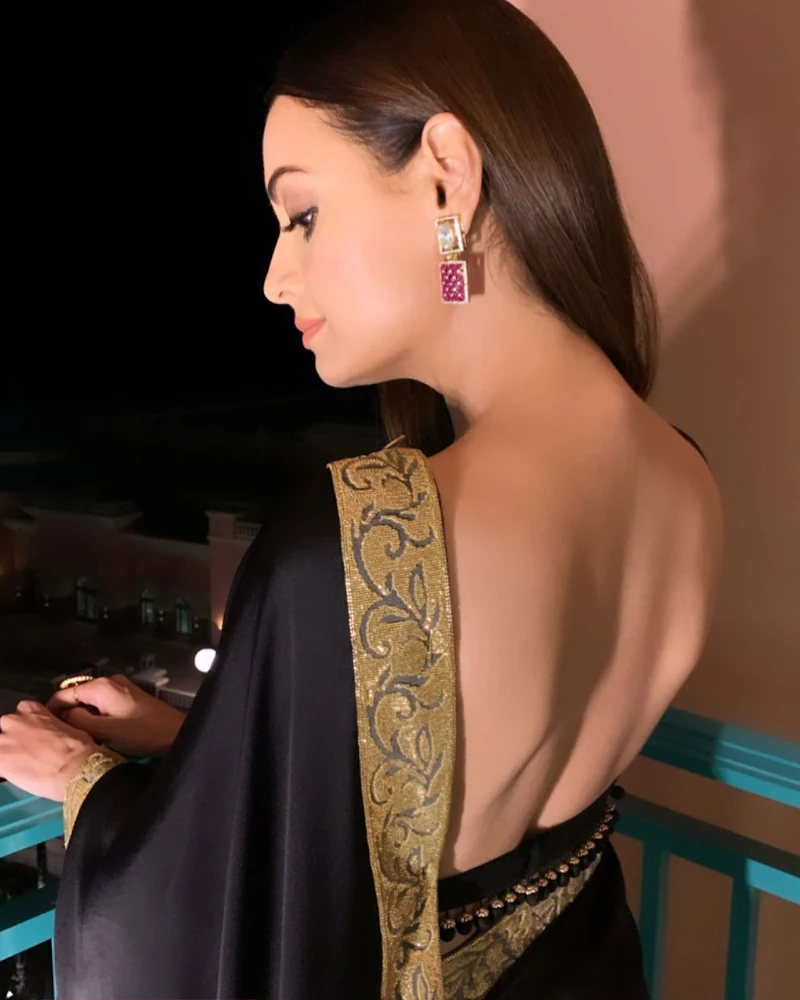 Dia Mirza backless saree hot bollywood actress Dia Mirza backless saree hot bollywood actress