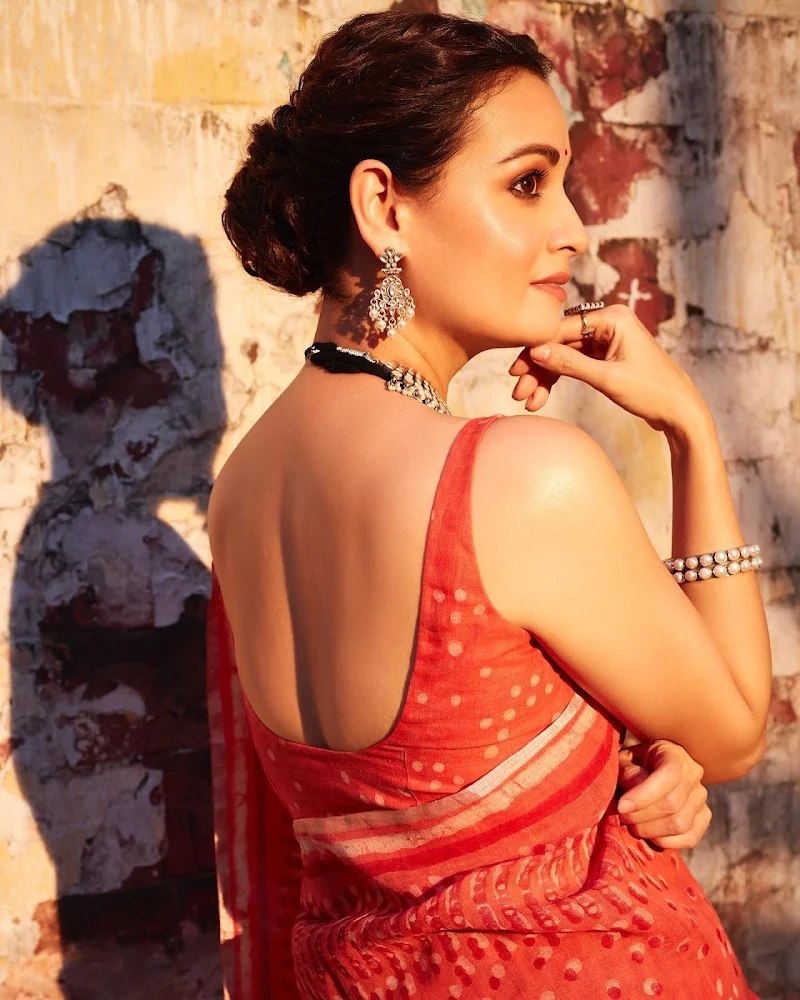 Dia Mirza backless saree hot bollywood actress Dia Mirza backless saree hot bollywood actress