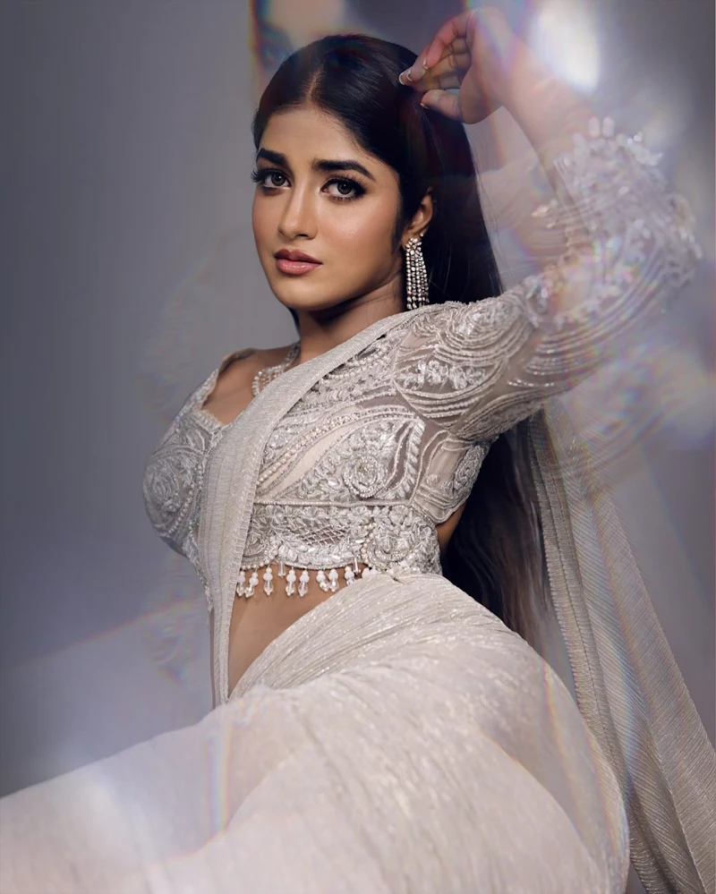 Dimple Hayathi saree curvy south indian actress Dimple Hayathi saree curvy south indian actress
