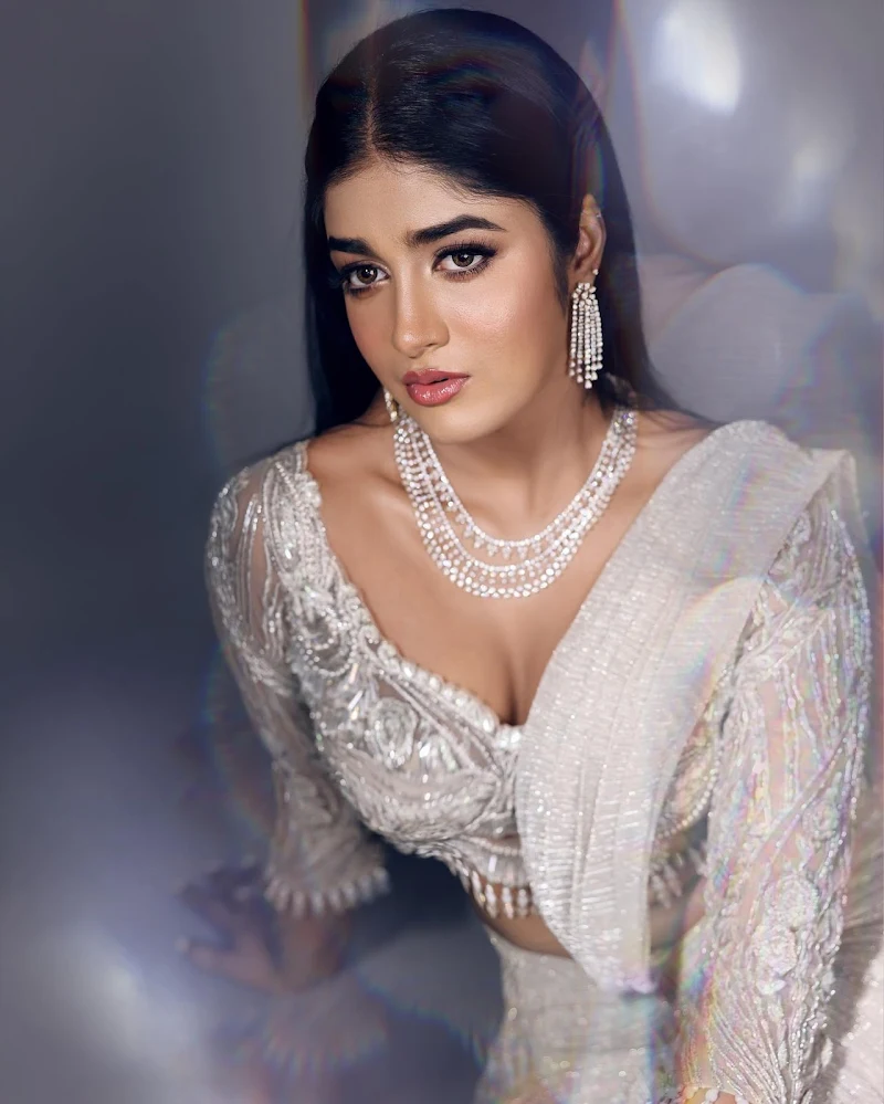 Dimple Hayathi saree curvy south indian actress Dimple Hayathi saree curvy south indian actress