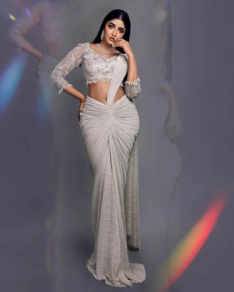 Dimple Hayathi saree curvy south indian actress Dimple Hayathi saree curvy south indian actress