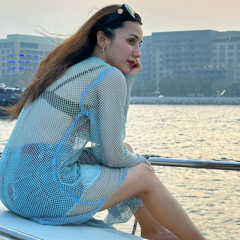 Heli Daruwala black bikini top mesh dress Heli Daruwala black bikini top mesh dress