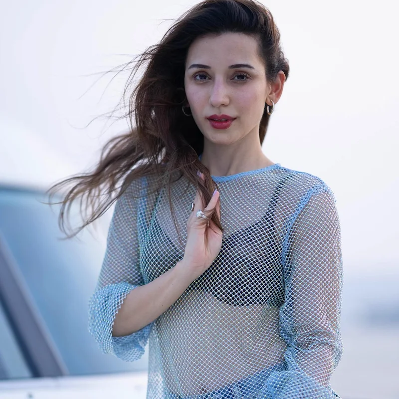 Heli Daruwala black bikini top mesh dress Heli Daruwala black bikini top mesh dress