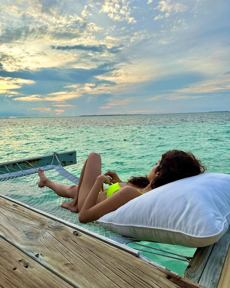 janhvi kapoor bikini curvy indian actress janhvi kapoor bikini curvy indian actress