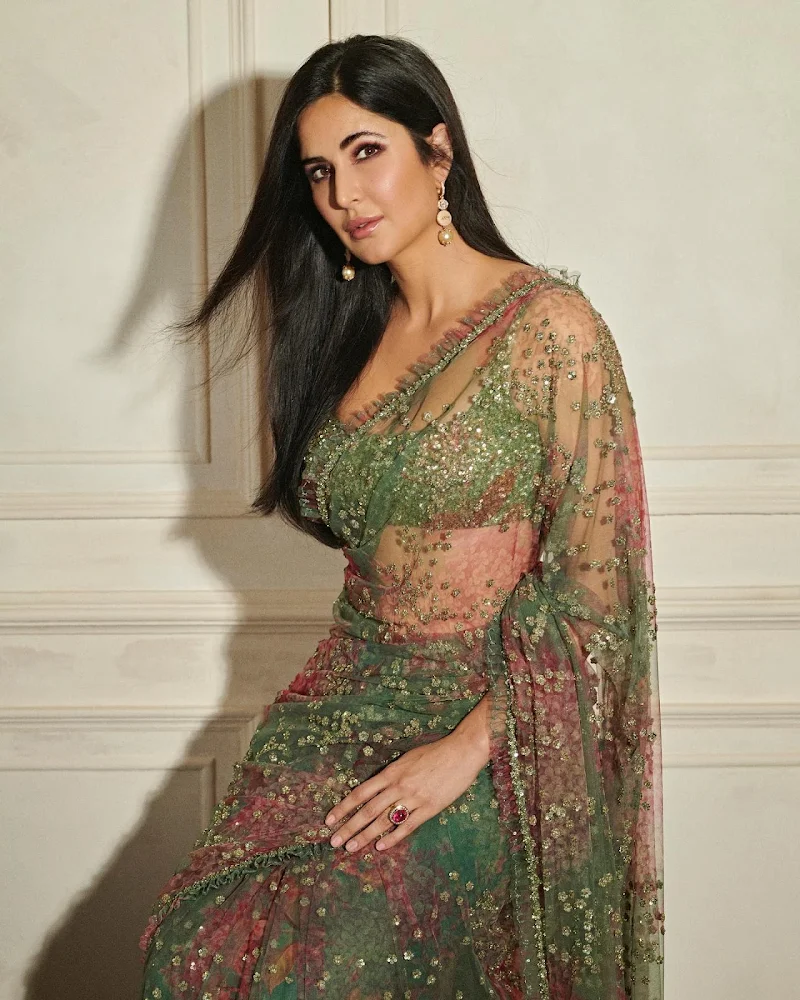 Katrina Kaif sheer saree hot actress