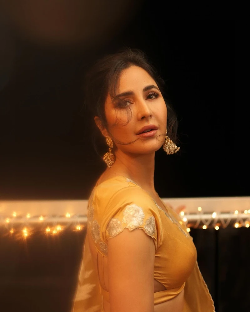 katrina kaif yellow saree backless blouse katrina kaif yellow saree backless blouse