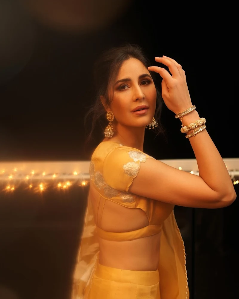 katrina kaif yellow saree backless blouse katrina kaif yellow saree backless blouse