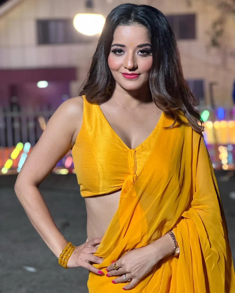 monalisa cleavage yellow saree hot curvy actress monalisa cleavage yellow saree hot curvy actress
