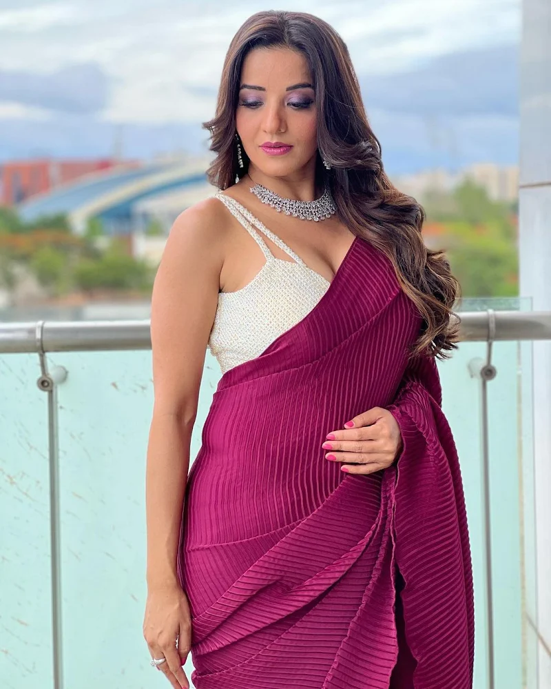 Monalisa saree cleavage curvy hot actress