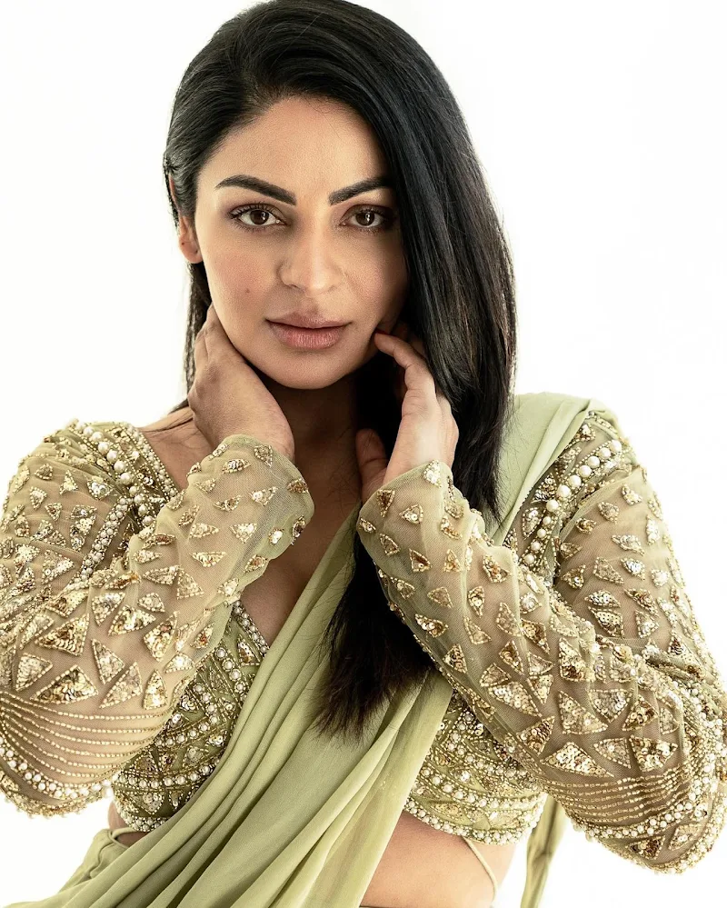 Neeru Bajwa saree hot punjabi actress Neeru Bajwa saree hot punjabi actress