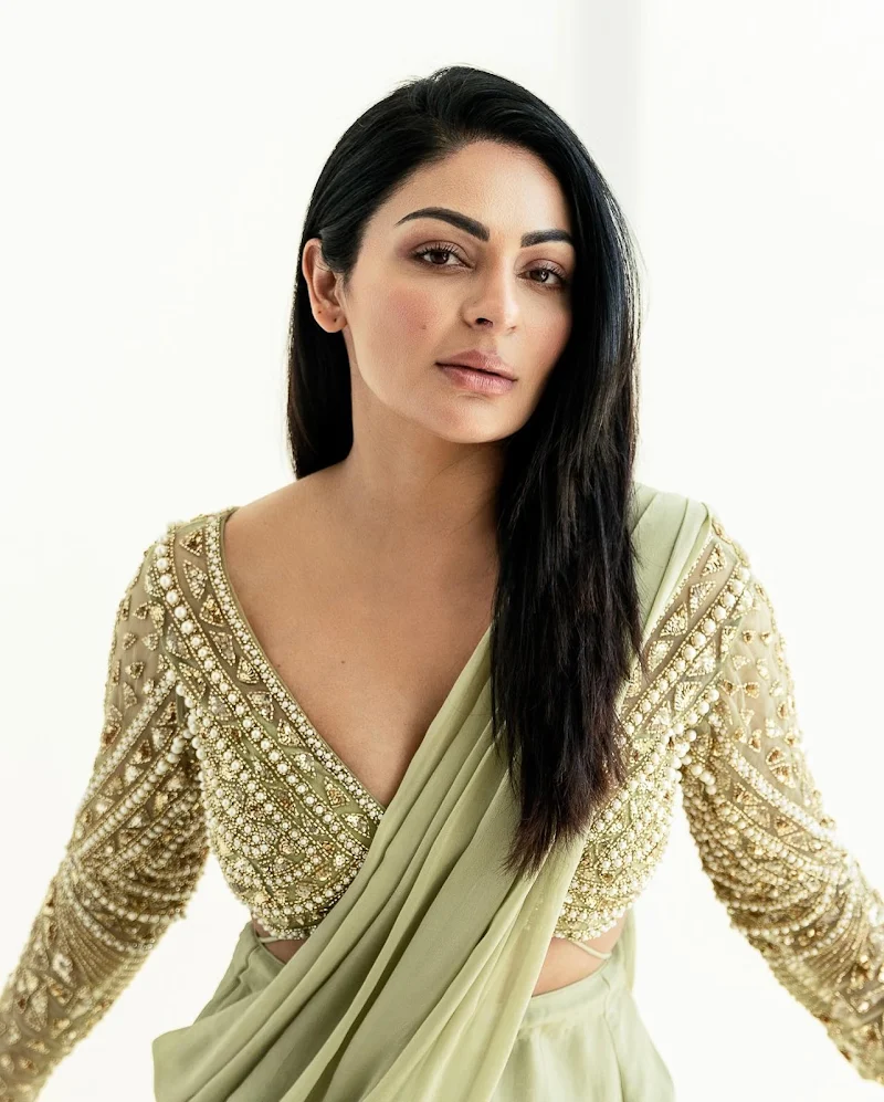 Neeru Bajwa saree hot punjabi actress Neeru Bajwa saree hot punjabi actress
