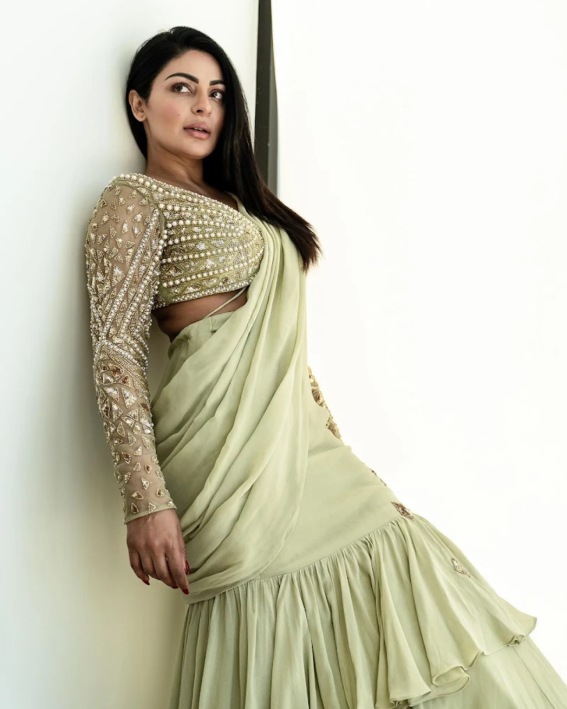 Neeru Bajwa saree hot punjabi actress Neeru Bajwa saree hot punjabi actress