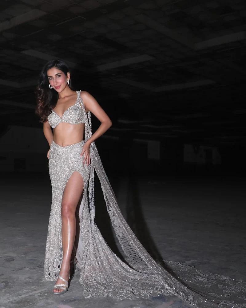 parul gulati shimmery high slit outfit sexy legs parul gulati shimmery high slit outfit sexy legs
