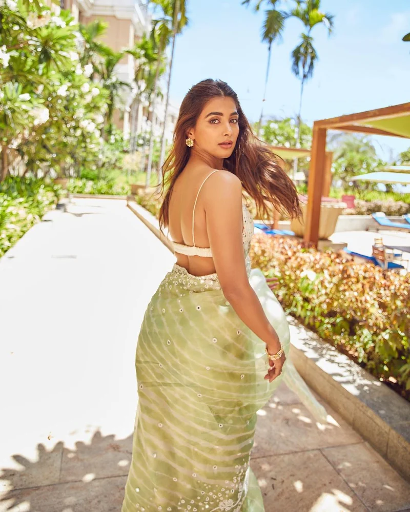 Pooja Hegde saree hot actress Pooja Hegde backless saree hot actress