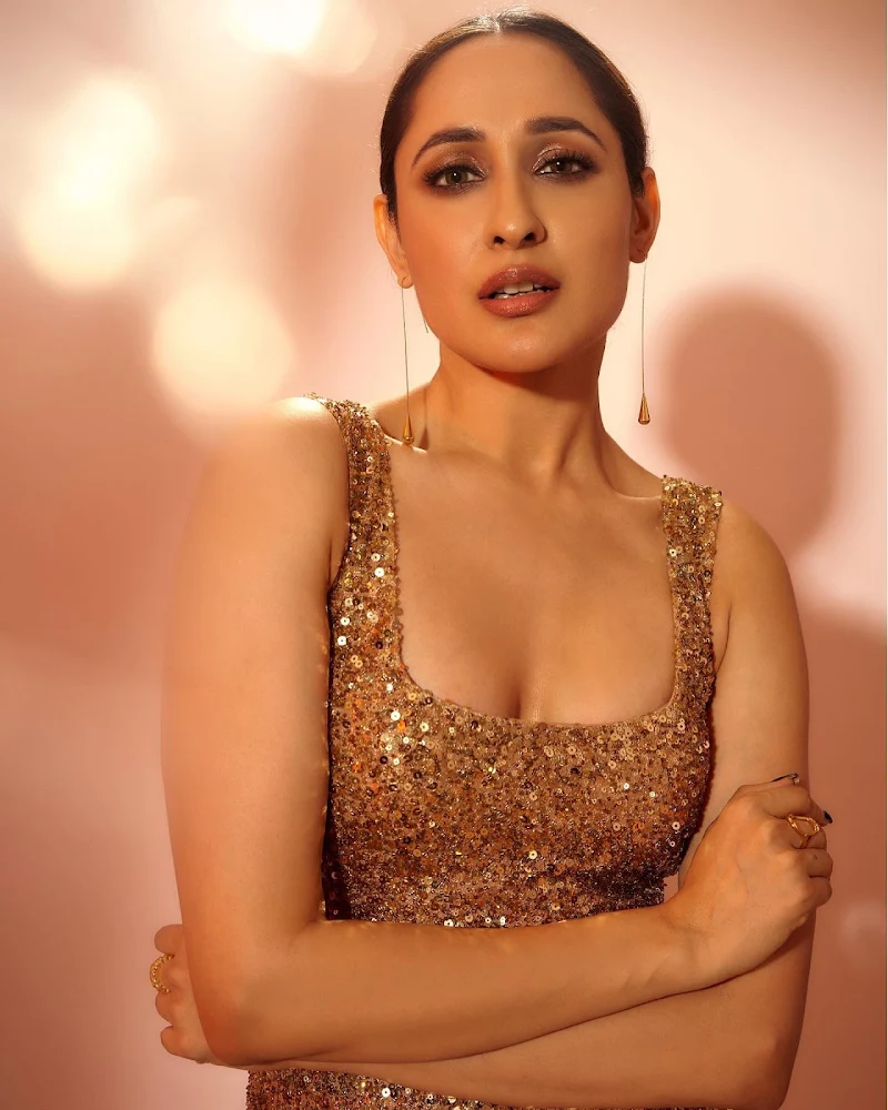 Pragya Jaiswal cleavage high slit dress Pragya Jaiswal cleavage high slit dress