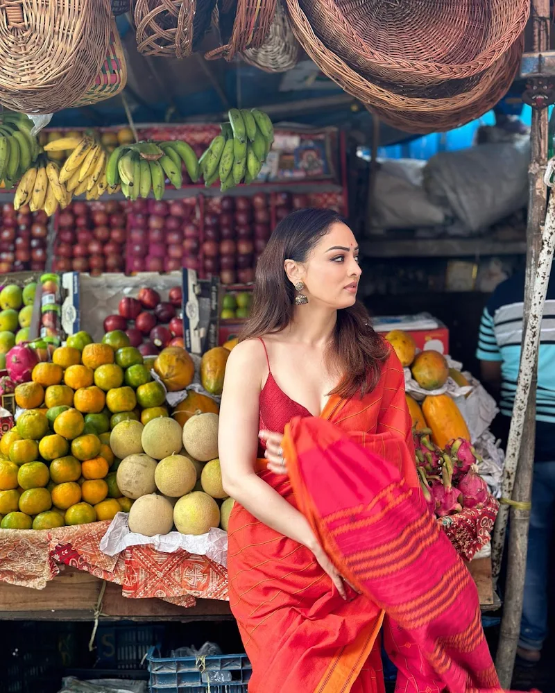 sandeepa dhar saree cleavage