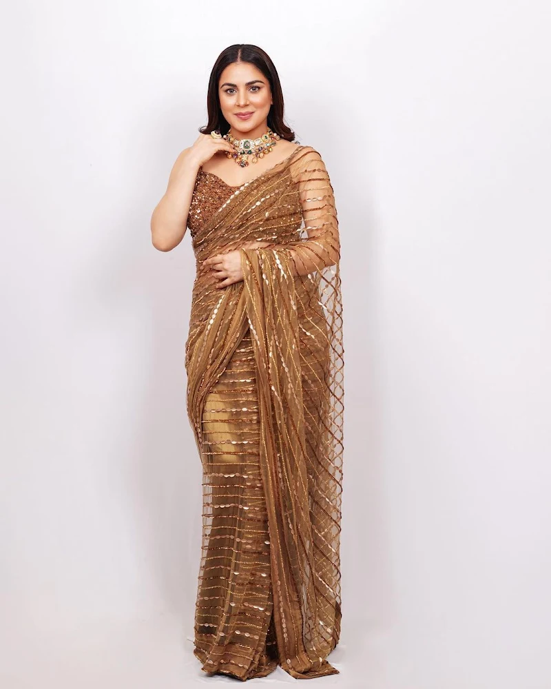 shraddha arya sheer saree hot actress kundali bhagya shraddha arya sheer saree hot actress kundali bhagya