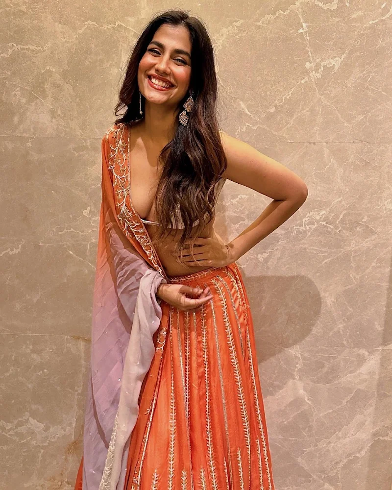 shreya dhanwanathary cleavage tiny blouse