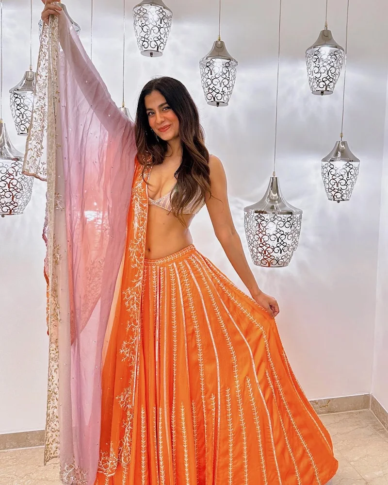 shreya dhanwanathary cleavage tiny blouse