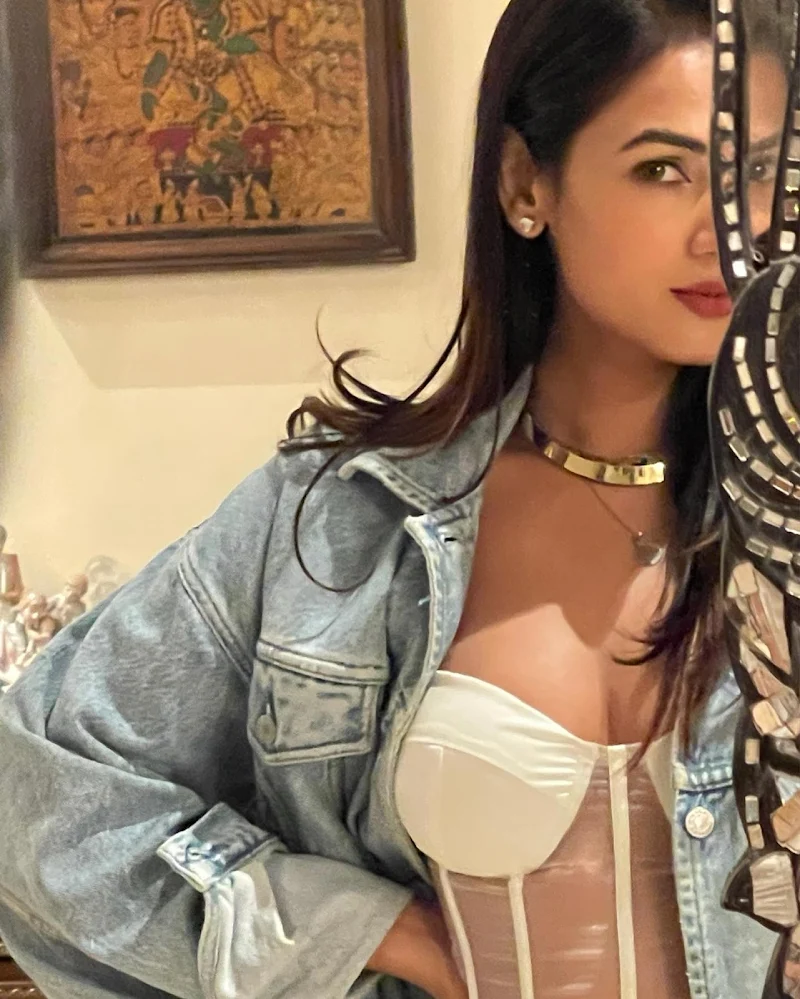 Sonal Chuahan cleavage corset top shorts