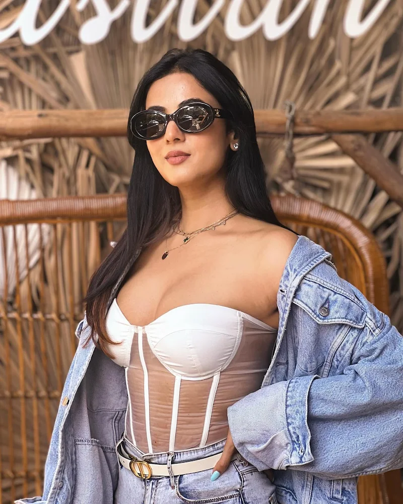 Sonal Chuahan cleavage corset top shorts