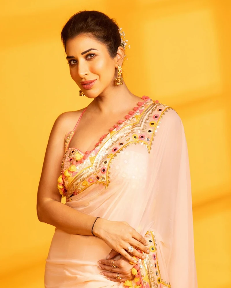 sophie choudry saree backless blouse sophie choudry saree backless blouse