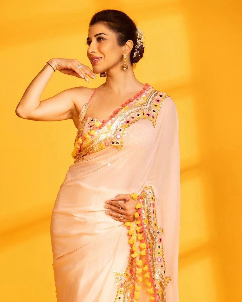 sophie choudry saree backless blouse sophie choudry saree backless blouse