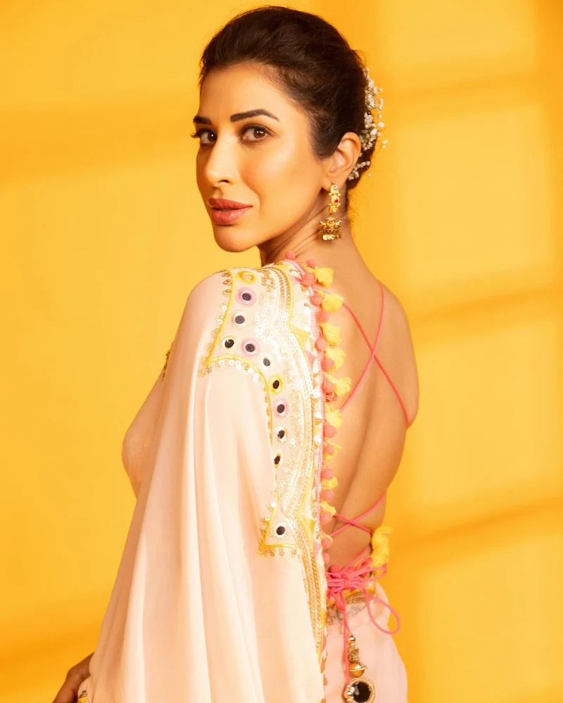 sophie choudry saree backless blouse sophie choudry saree backless blouse