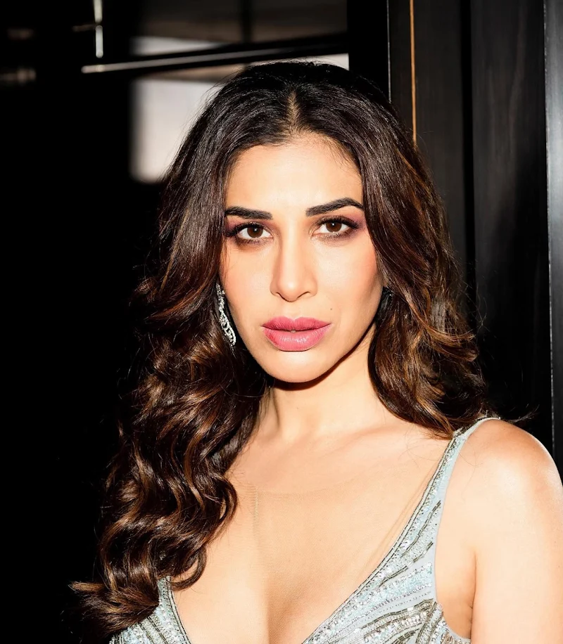 sophie choudry silver dress cleavage