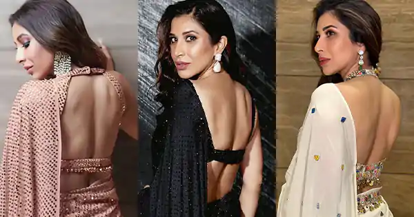 sophie choudry sexy back saree backless blouse sophie choudry sexy back saree backless blouse
