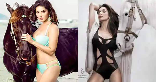 indian actresses horse photoshoot 1 indian actresses horse photoshoot 1